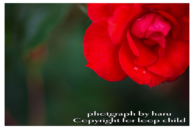 20100711-16.jpg