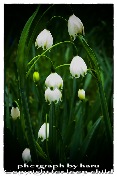 20140519-3.jpg