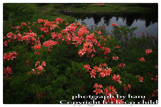 20140624-15.jpg