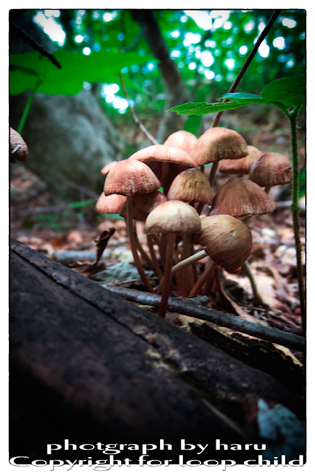 20140624-42.jpg