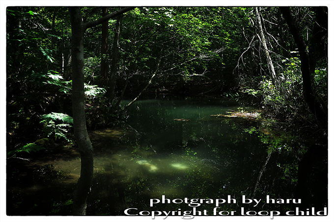 20140624-44.jpg