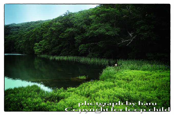 20140624-46.jpg