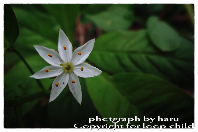 20140624-48.jpg