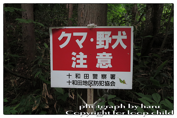 20140624-52.jpg