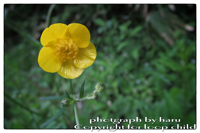 20140624-54.jpg