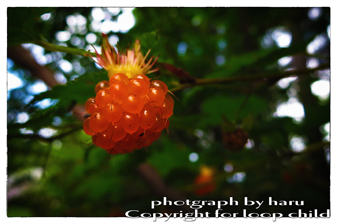 20140625-3.jpg
