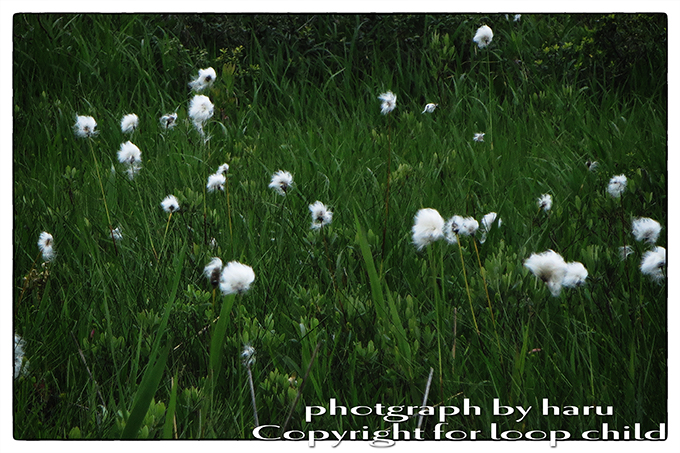 20140625-4.jpg