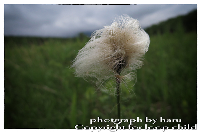 20140625-6.jpg