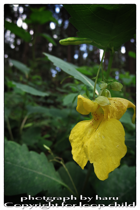 20140702-6.jpg
