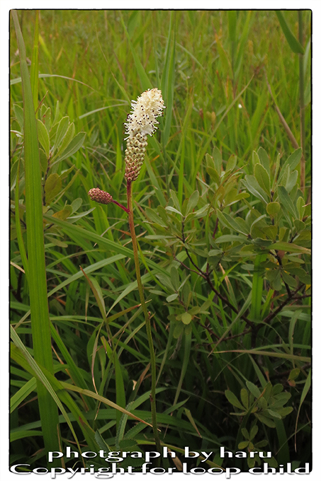 20140828-2.jpg