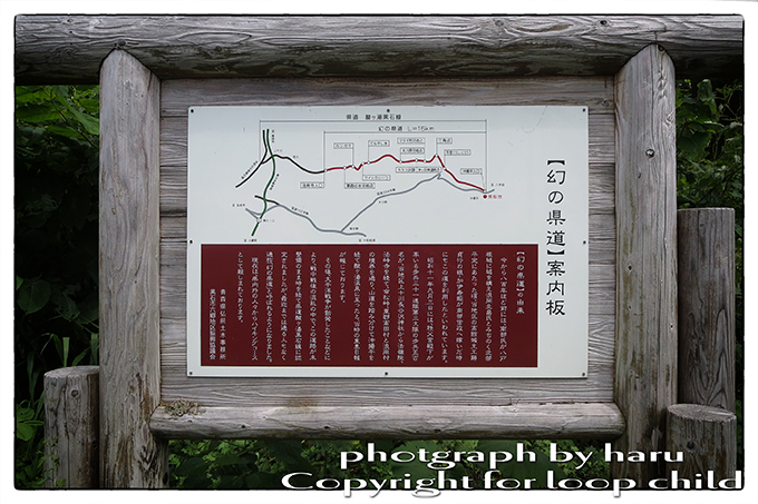 20150705-12.jpg