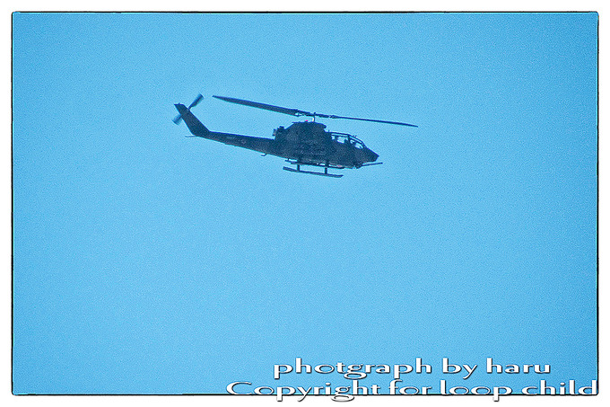 20250128-1.jpg
